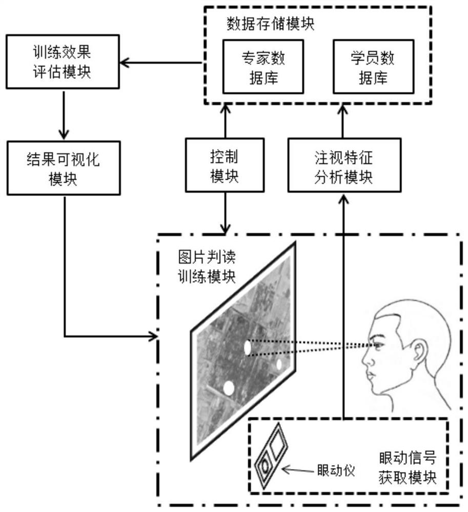 Image interpretation ability training system and method based on expert eye movement signal guidance