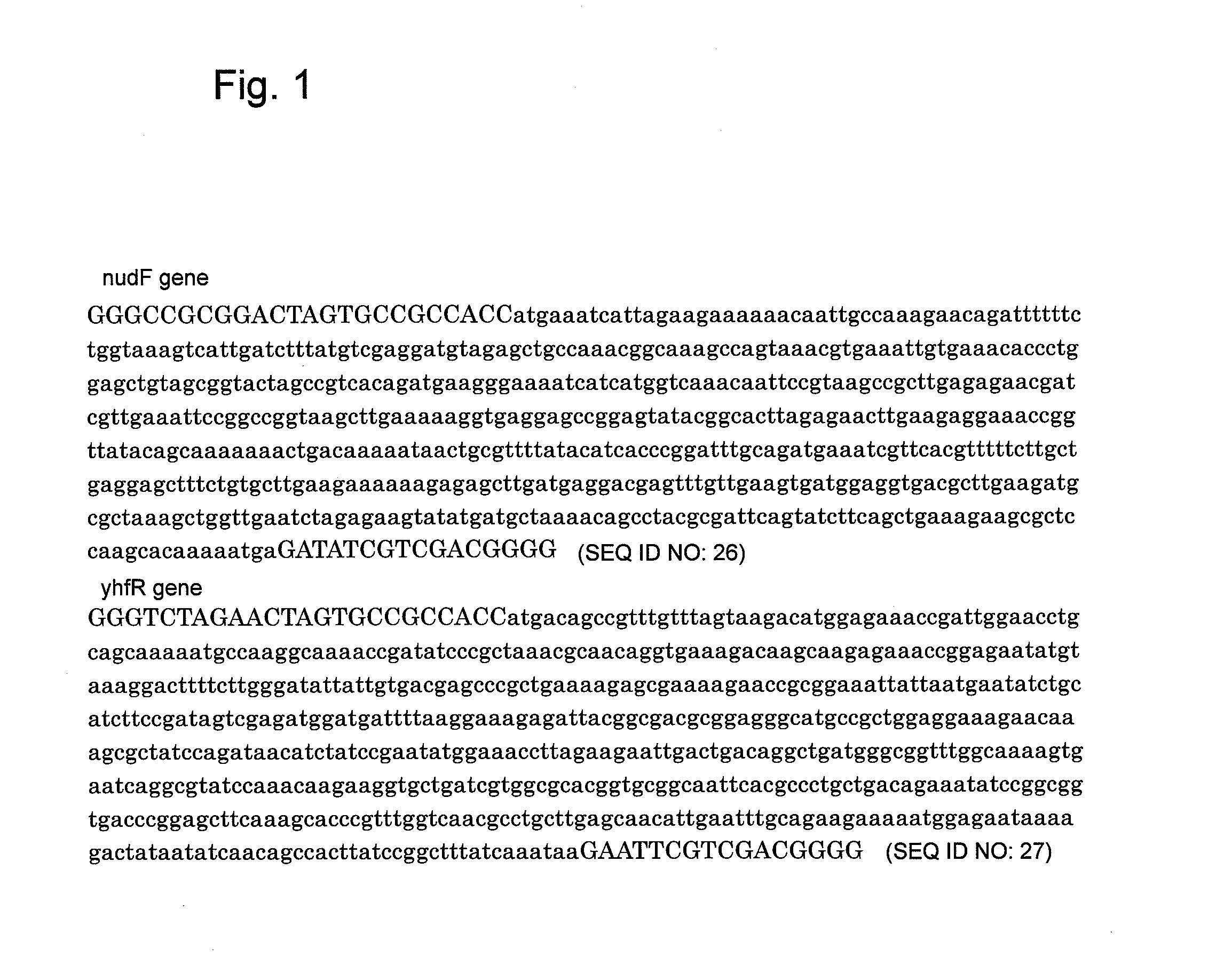 Recombinant yeast and branched alcohol production method using recombinant yeast