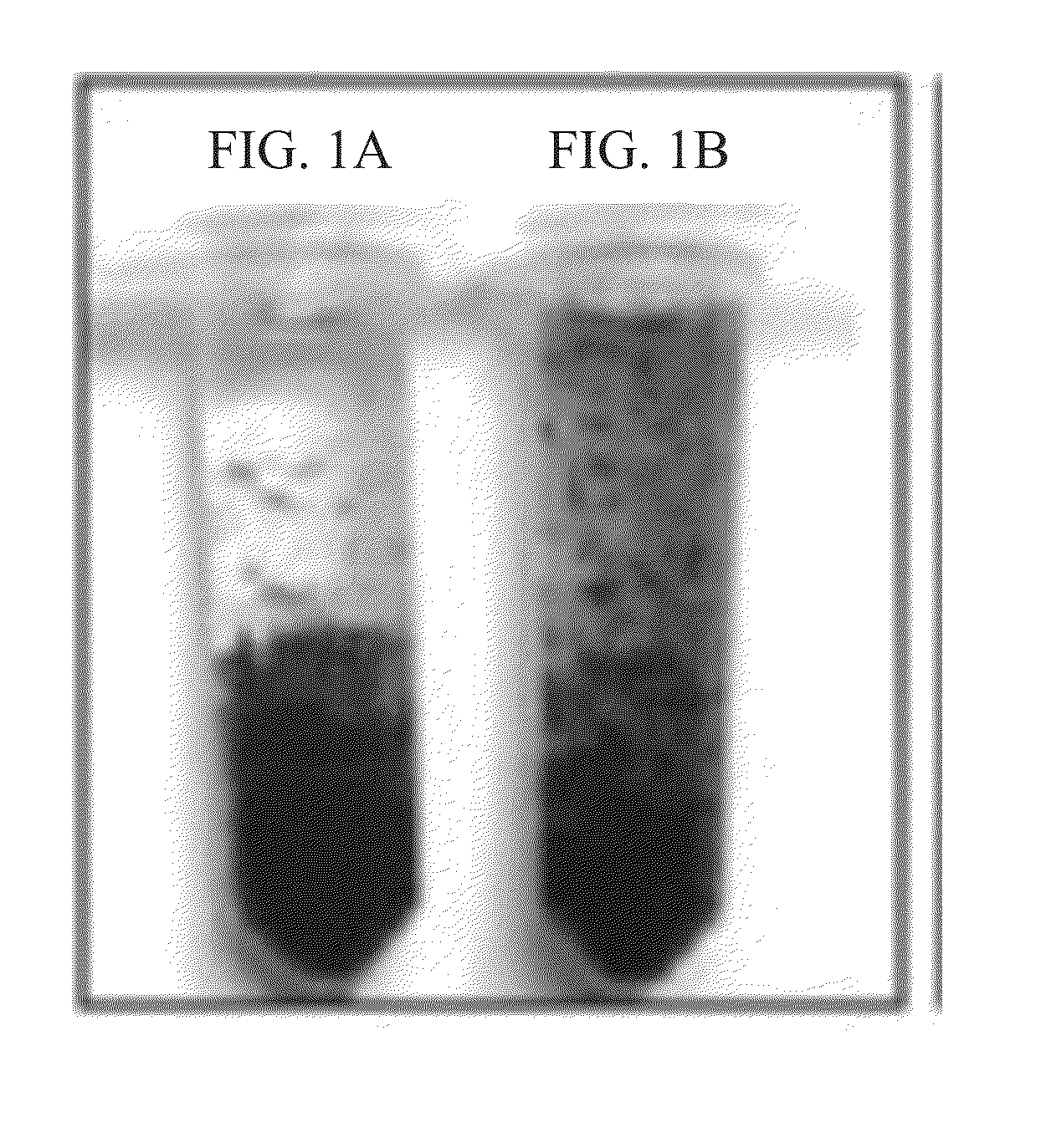 Blue collagenase assay