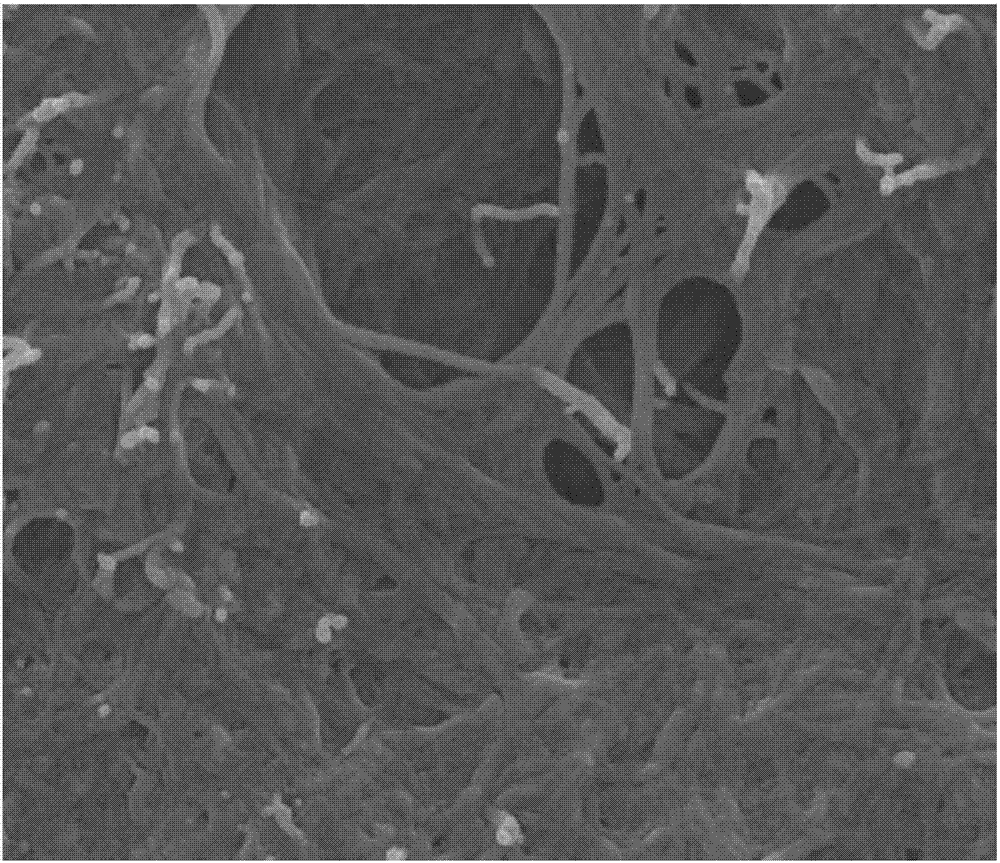 Self-supported and flexible poly(3,4-ethylenedioxythiophene) (PEDOT) nanofiber/single-walled carbon nanotubes (SWCNTs) composite thermoelectric material thin film and preparation method thereof