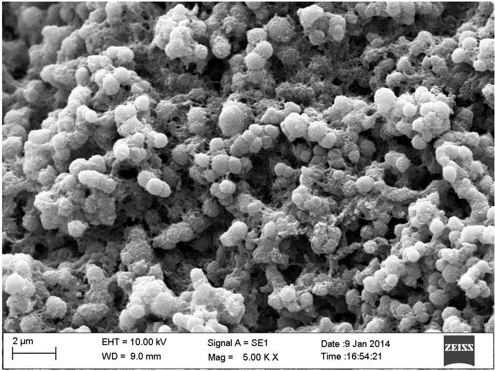 Preparation method of biochar-based solid acid and application of biochar-based solid acid to cellulose hydrolysis reaction