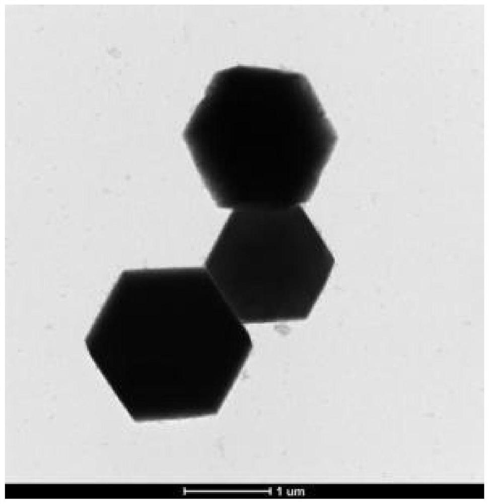 Preparation method and application of rare earth up-conversion fluorescence probe for detecting DNA damage marker