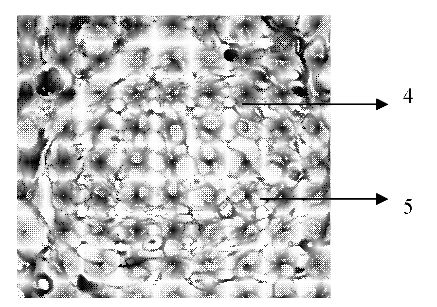 Method for slicing heavy leather blade paraffin