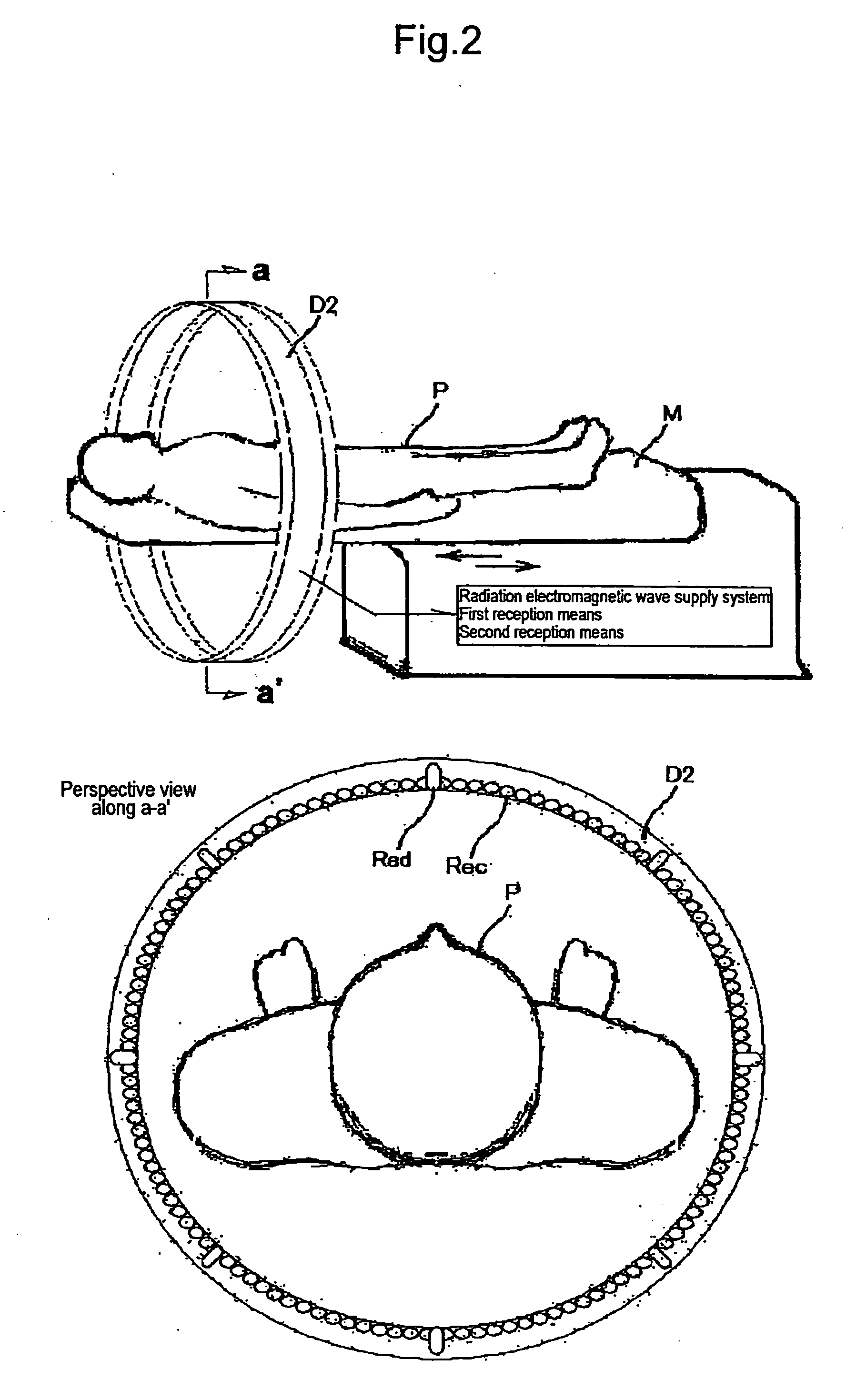 Method for Displaying Bioinformation Using Millimeter-Wave Band Electromagnetic Wave, Device for Acquiring and Displaying Bioinformation