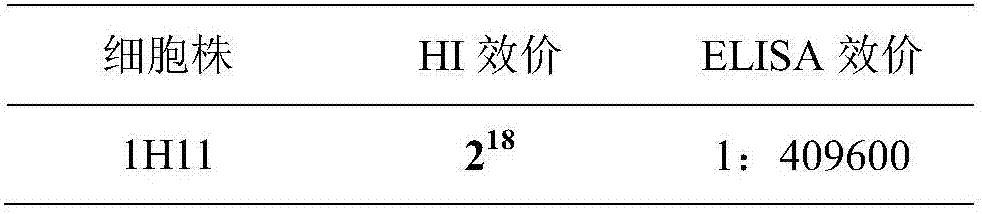 H7 avian influenza virus monoclonal antibody and application thereof