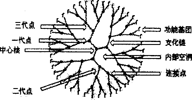 Method for preparing cross-linked polymer film by branching molecule