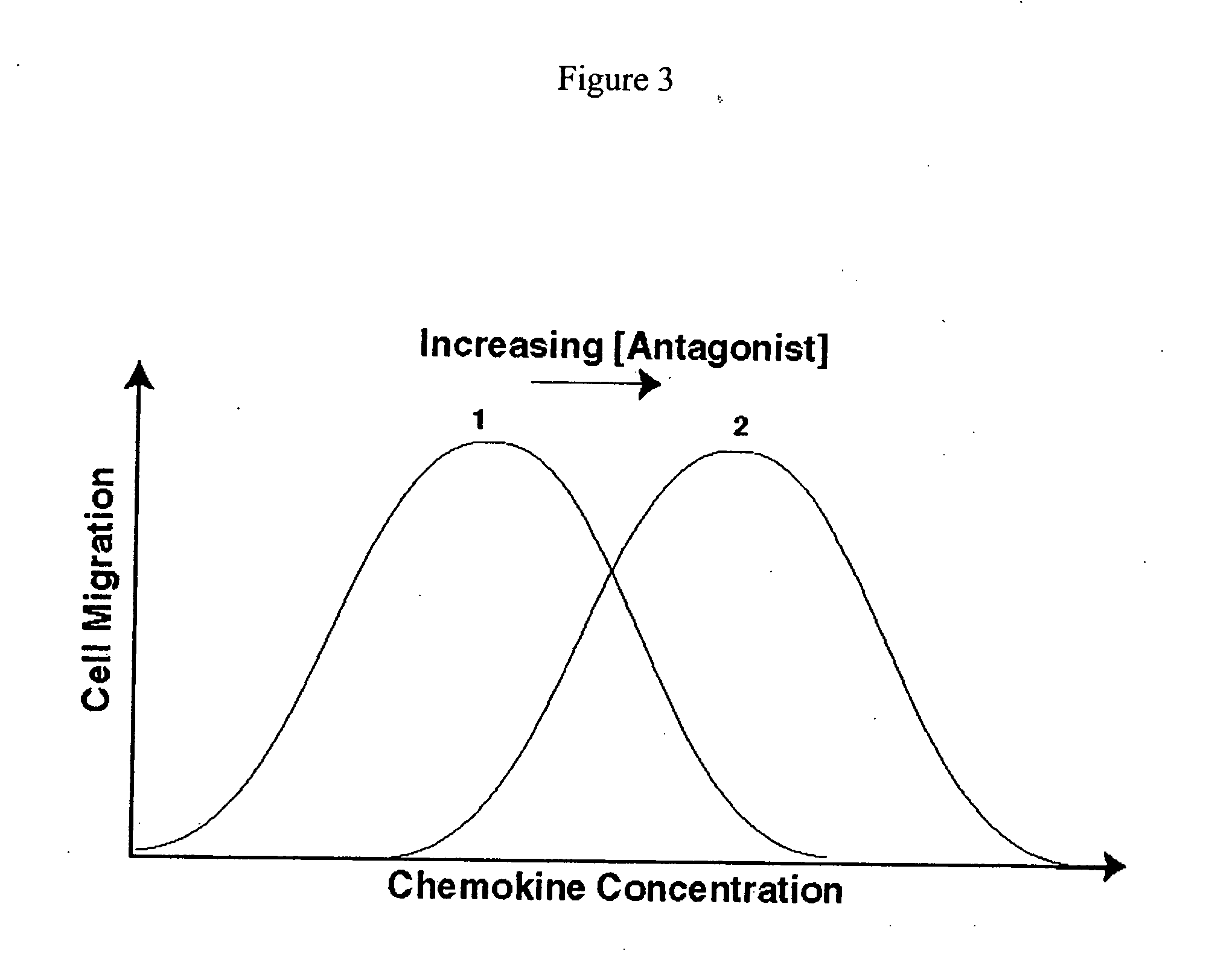 Cell migration assay