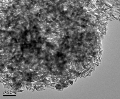 Graphene/hydroxyapatite nano composite and preparation method thereof