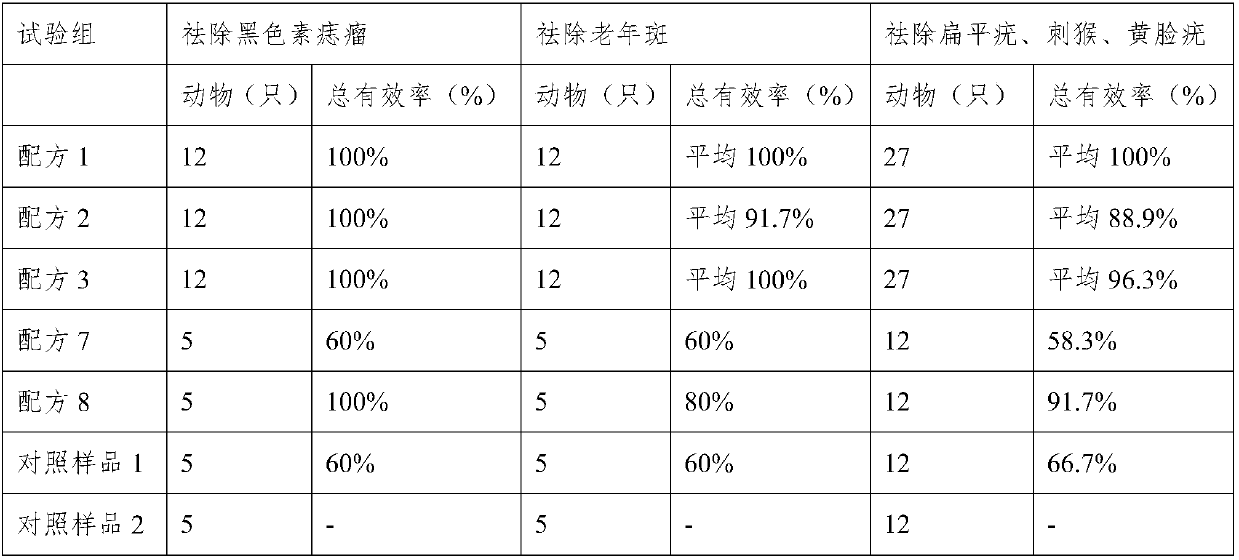 Traditional Chinese medicine composition with effects of beautifying and protecting skin as well as preparation method and application thereof