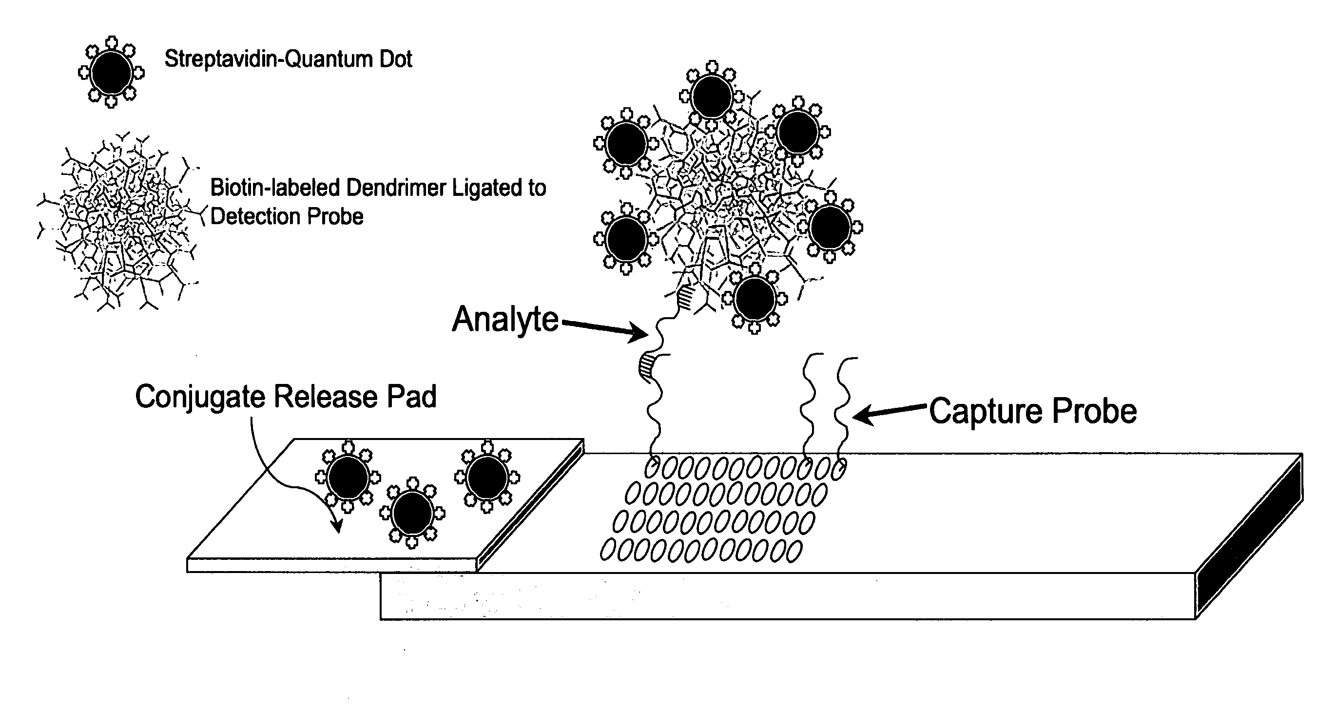 Nanocrystal-Based Lateral Flow Microarrays and Low-Voltage Signal Detection Systems