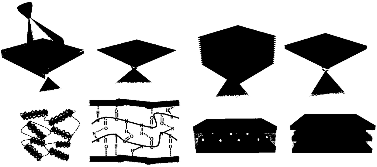 A three-dimensional shell-imitated material and a preparing method thereof