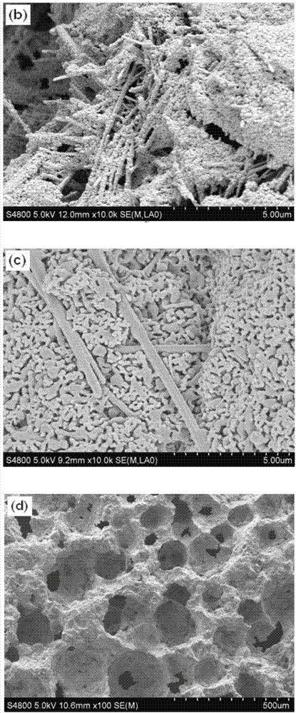 HA (hydroxylapatite) micro-nano whisker reinforced calcium phosphate ceramic material and preparation method and application thereof