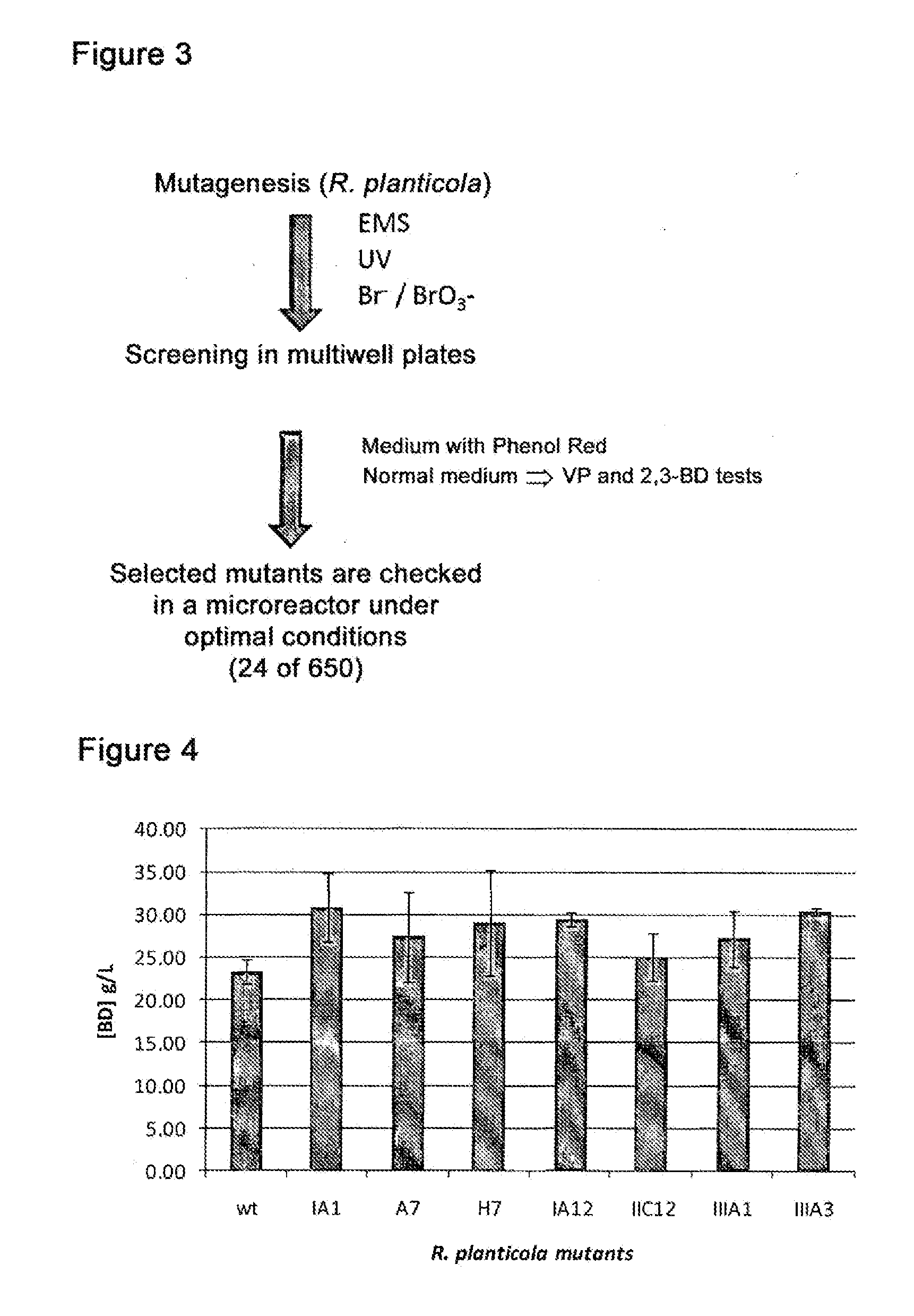 Method for producing 2,3-butanediol using improved strains of raoultella planticola