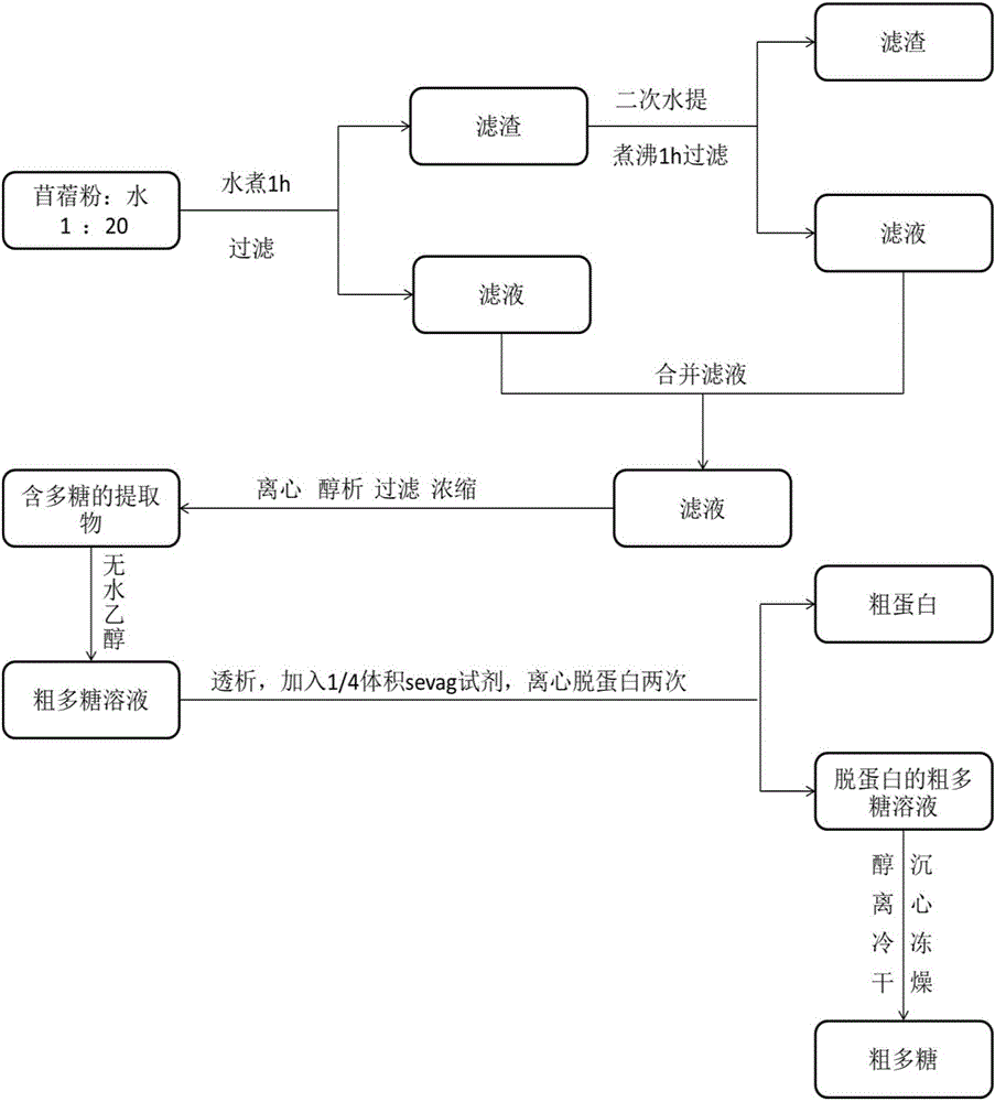 Extraction and purification method of alfalfa polysaccharide