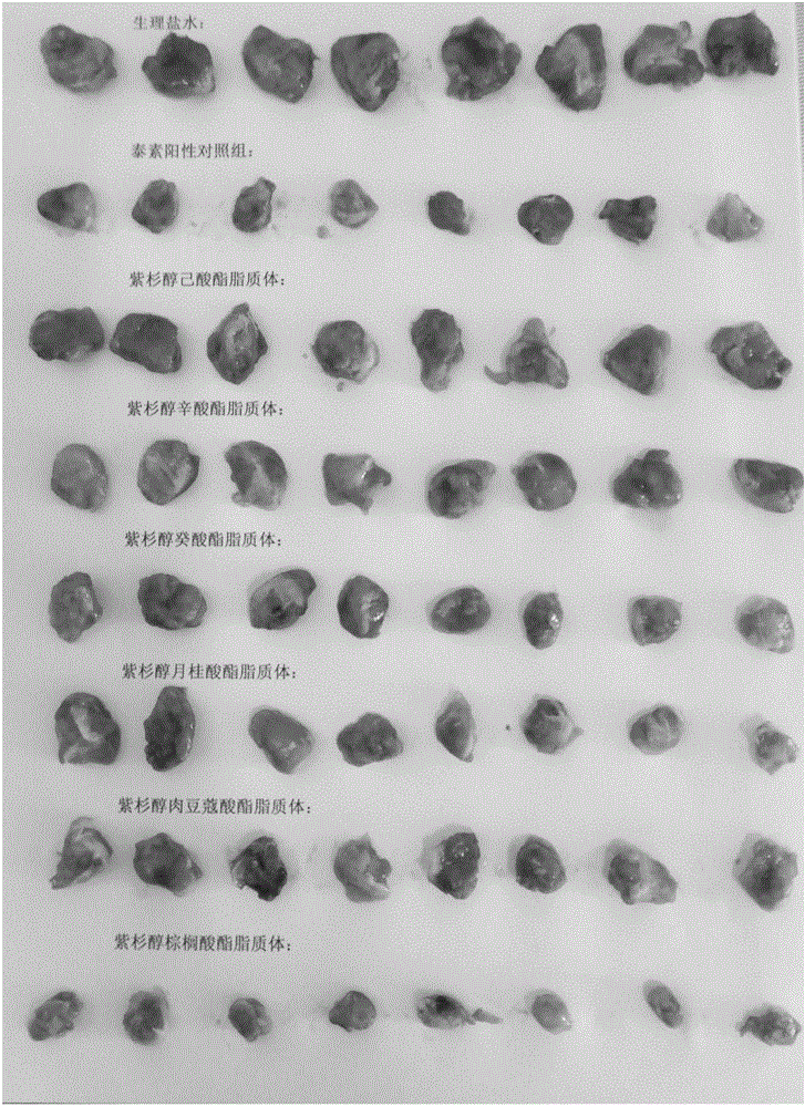 Paclitaxel palmitate liposome and preparation method thereof