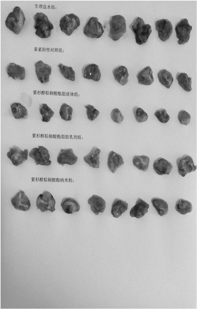 Paclitaxel palmitate liposome and preparation method thereof