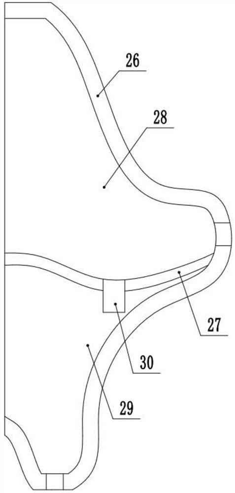 Device for clearing lung heat and discharging sputum