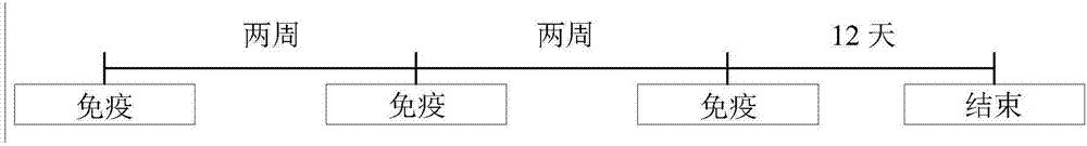 Dna vaccine composition for preventing and treating herpes zoster, and method for activating t cells for vzv antigen by using same