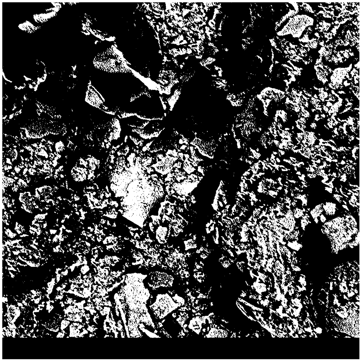 Oyster-shell soil conditioner, preparation method thereof and application of oyster-shell soil conditioner in rice planting