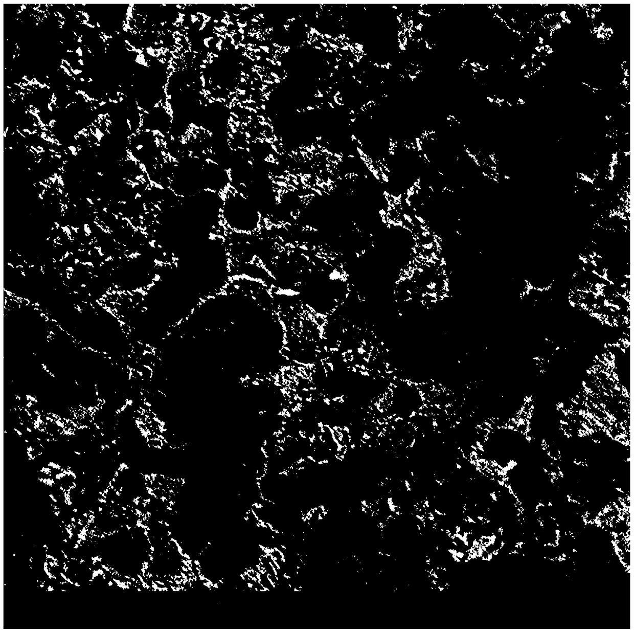 Oyster-shell soil conditioner, preparation method thereof and application of oyster-shell soil conditioner in rice planting