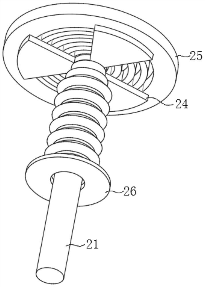 Polygonatum sibiricum health care wine and production device thereof