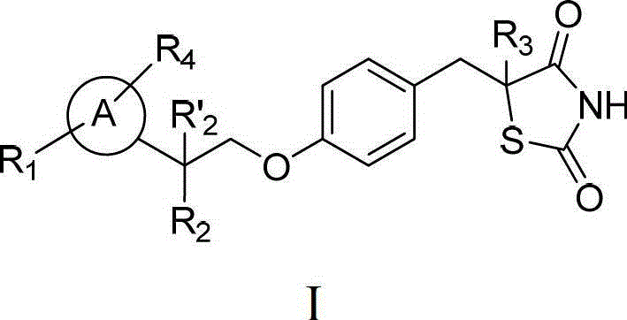 Thiazolidinedione analogues