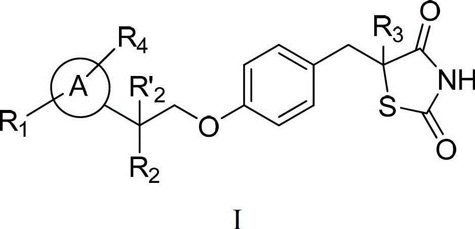 Thiazolidinedione analogues
