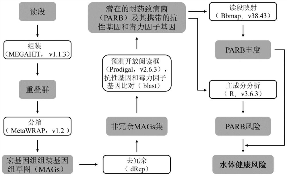 Method for evaluating water body health risk based on resistance gene and virulence factor gene