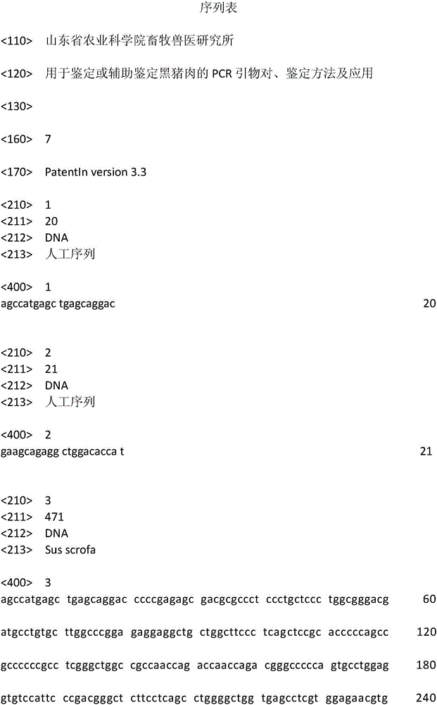 PCR primer pair for identification or auxiliary identification of black pork, identification method and application thereof