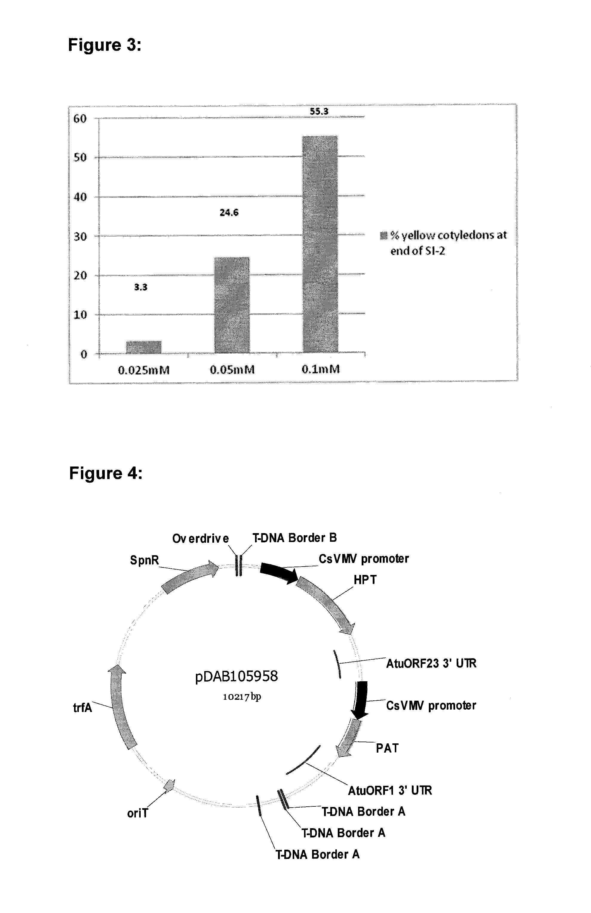 Soybean transformation for efficient and high-throughput transgenic event production