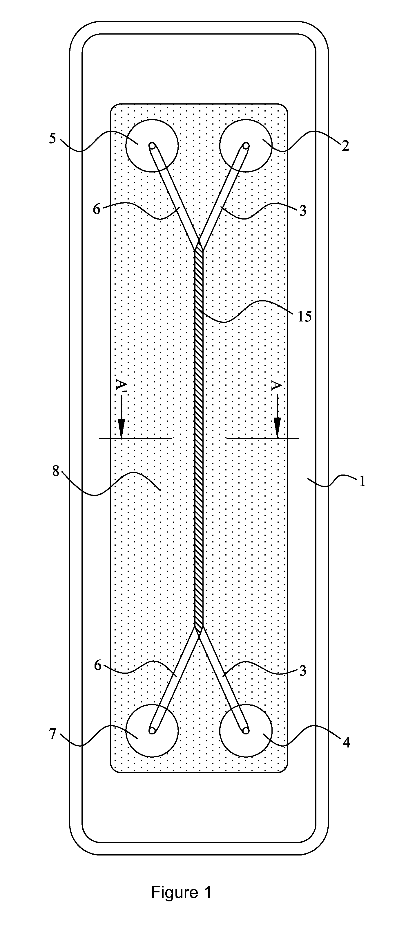 Biochip assembly and assay method thereof