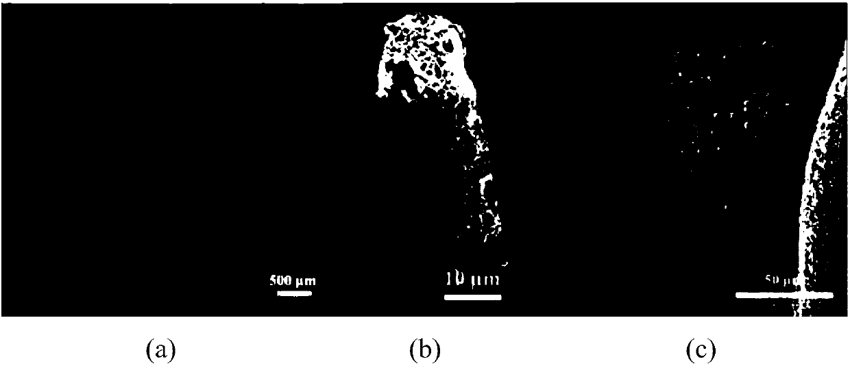 Method for preparing porous polymer microneedle based on phase separation technology and application of method