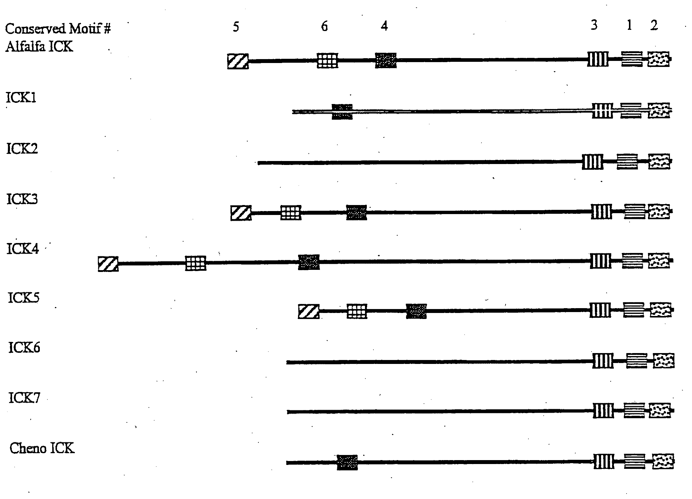 Cyclin-dependent kinase inhibitors and uses thereof