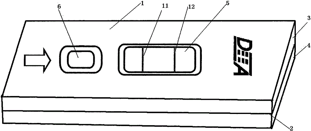 A detection test paper card for detecting Brucella bovis antigen by sandwich method