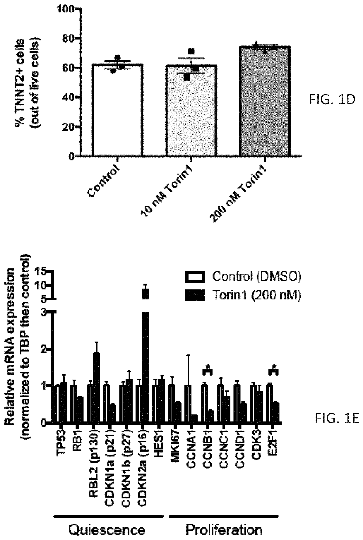 Cardiomyocytes and compositions and methods for producing the same