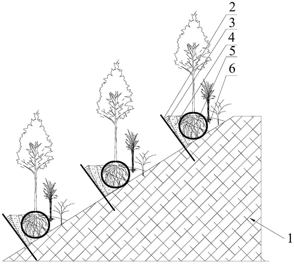 Construction method of foamed concrete vegetation nutrition enclosed cave