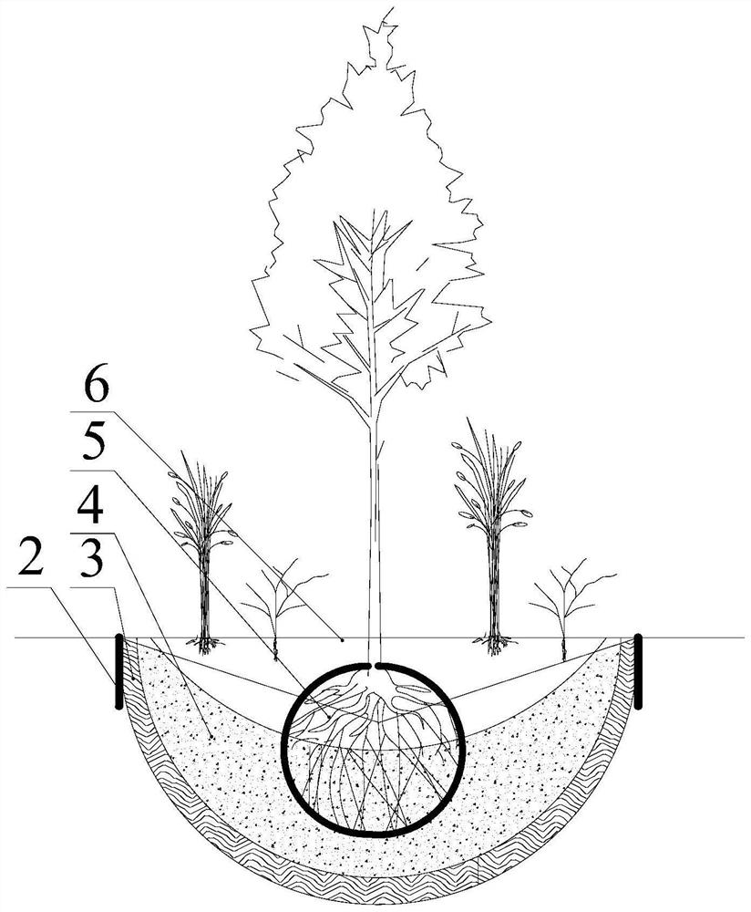 Construction method of foamed concrete vegetation nutrition enclosed cave