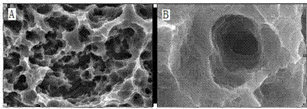 Preparation method of titanium implant surface with micro-nano composite structure