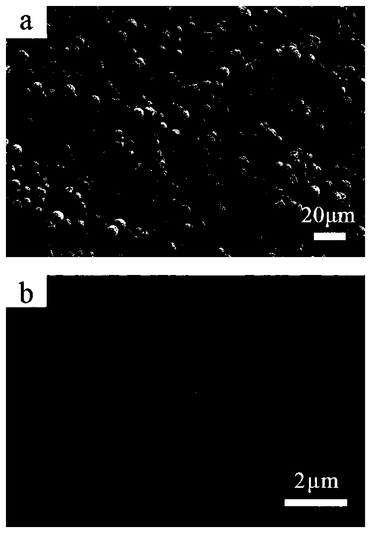 Preparation method of hydroxyapatite microspheres