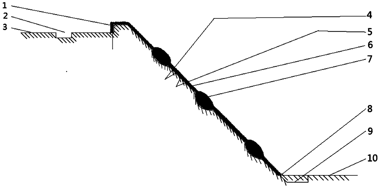 Slope protection structure and construction method of sea cucumber culture pond