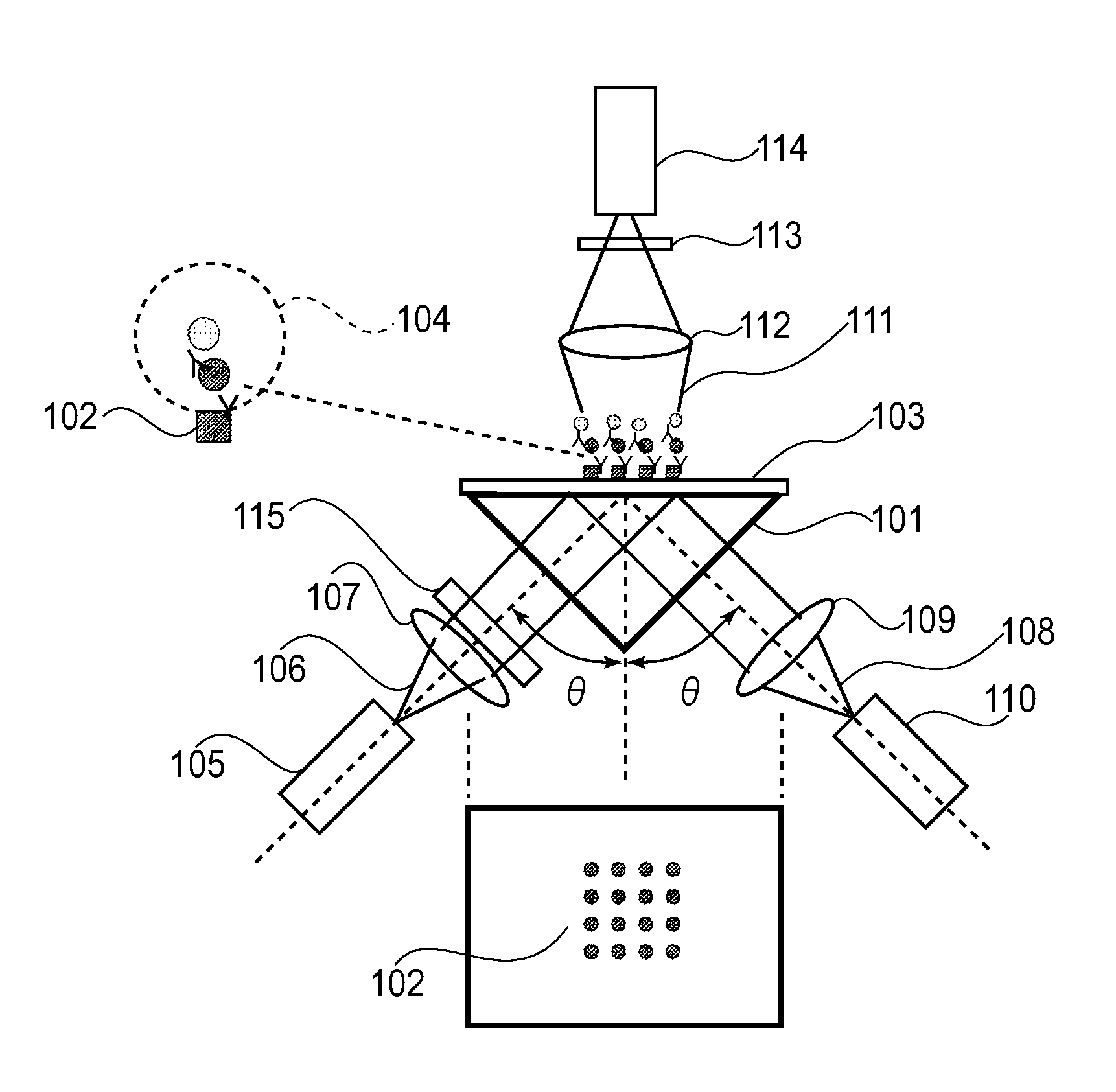 Detection Apparatus and Detection Method for Plasmon Resonance and Fluorescence