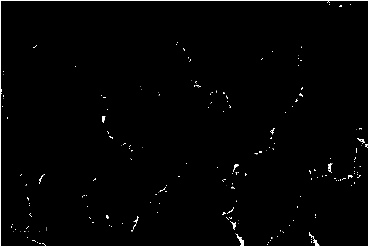 Method of preparing macroporous/mesoporous zeolite molecular sieve through seed crystal induction