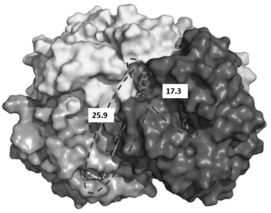 Hydrophobic charge-induced chromatography optimal ligand density prediction method