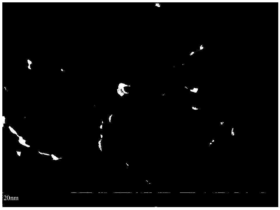 Tripterine-dendritic macromolecular conjugate, preparation method thereof and application