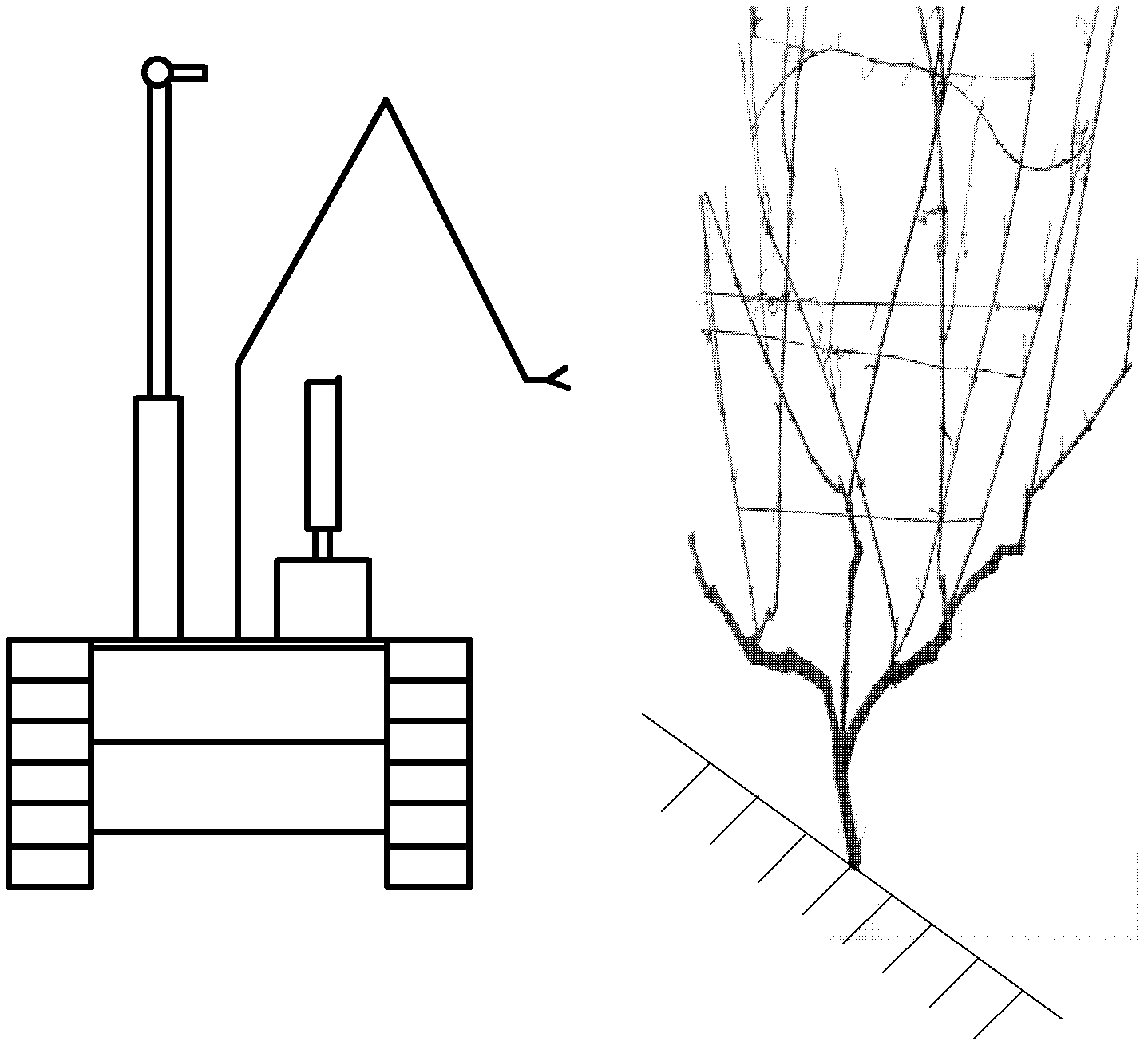 Pruning robot system for grape vines