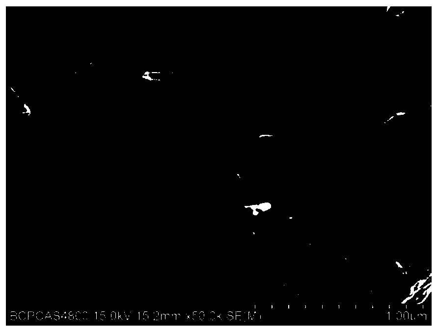 Negative material, negative plate, battery assembly and preparation methods