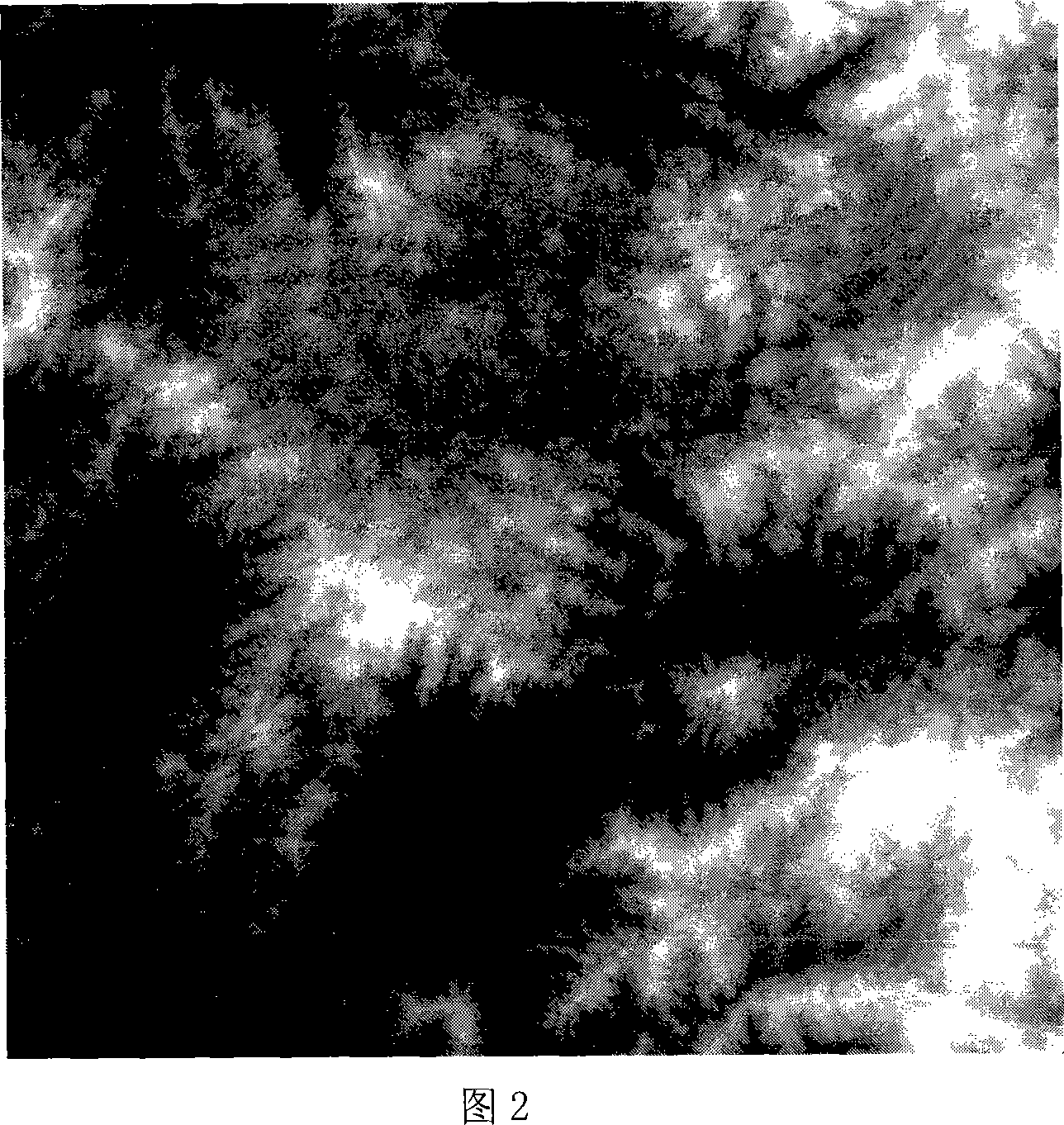 Virtual computer for remote-sensing distributed image on rolling ground