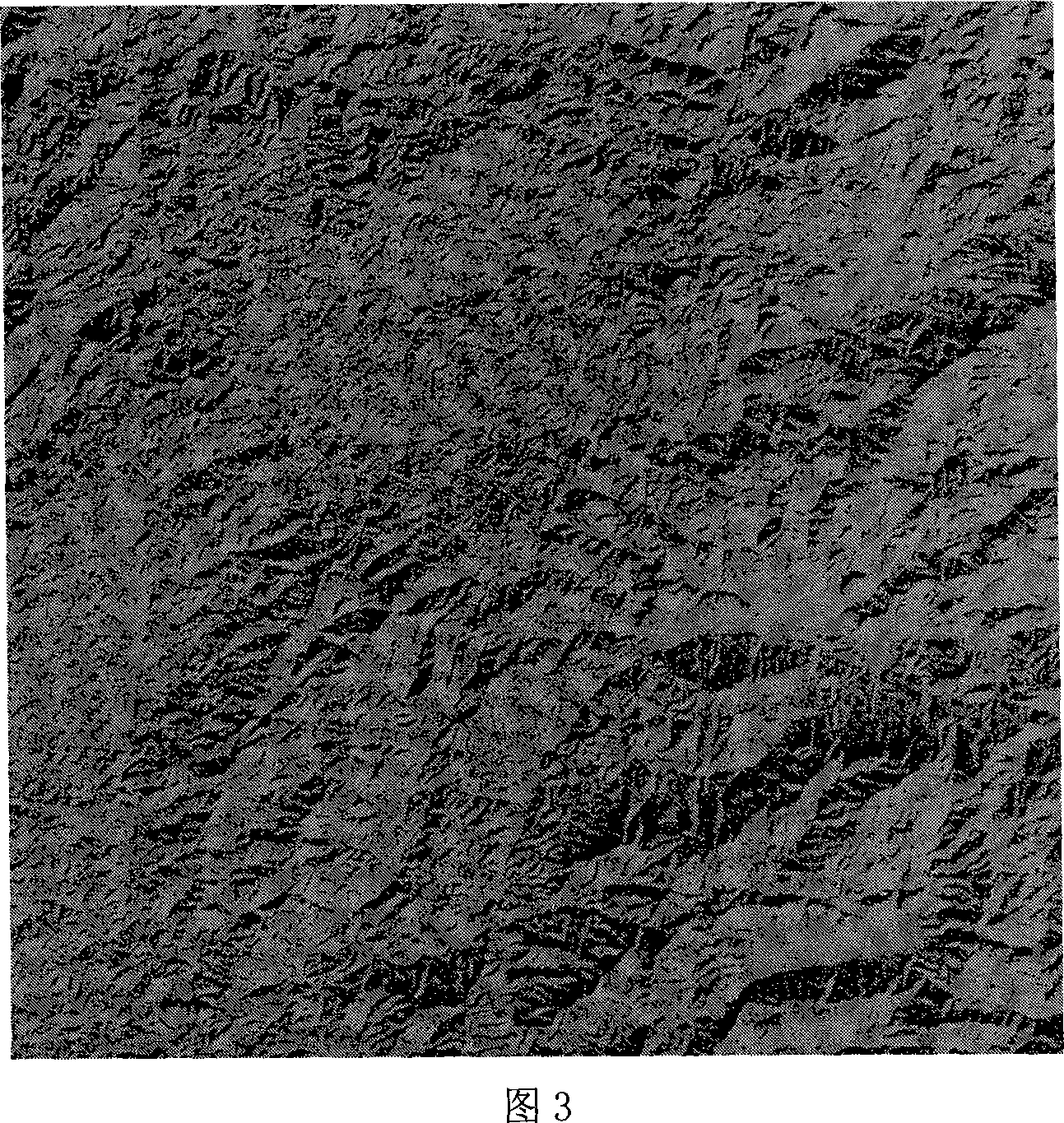 Virtual computer for remote-sensing distributed image on rolling ground