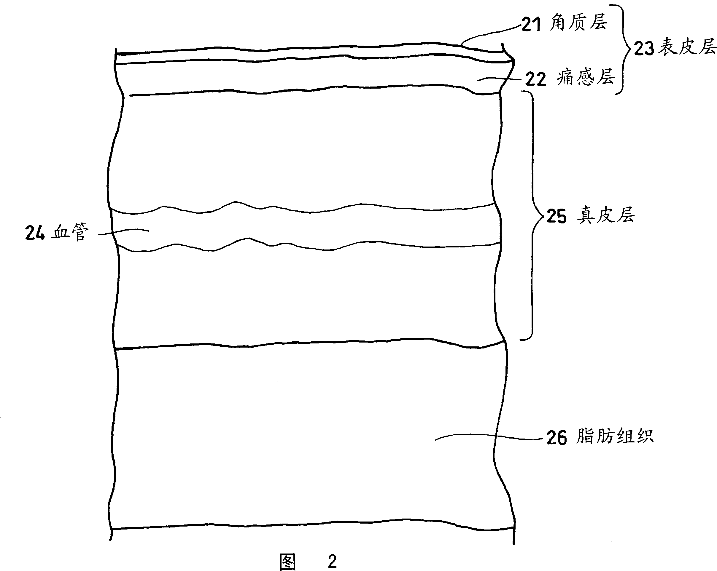 Bioinformation measuring optical element and bioinformation measuring instrument using same