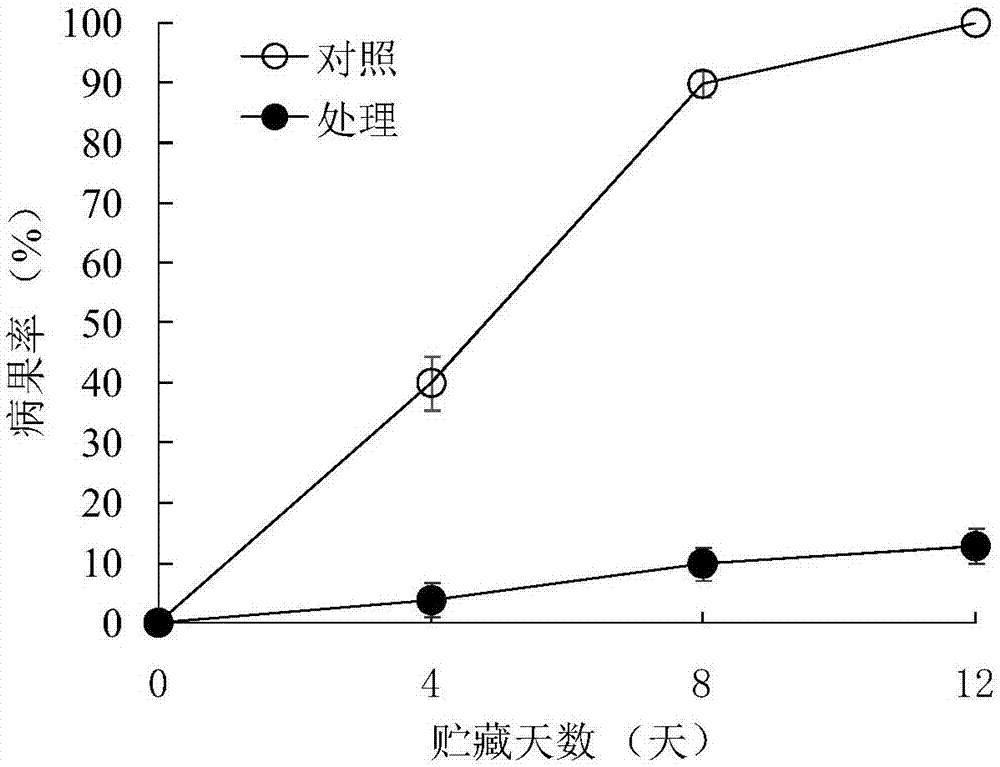 Method for prevention and treatment of diseases of longan fruits